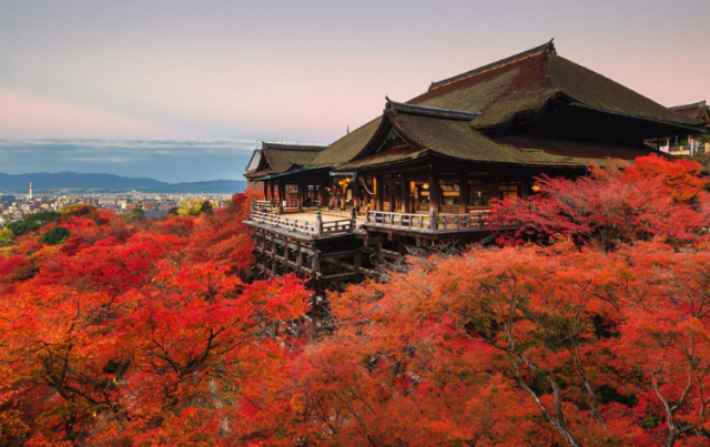 Tempat Wisata Kyoto Musim Dingin