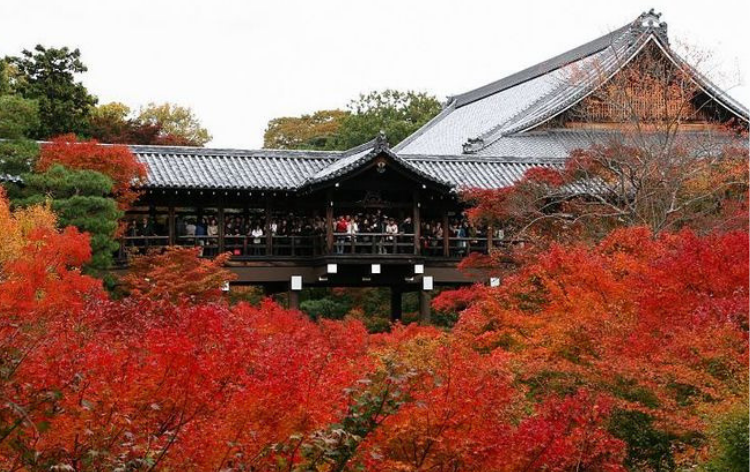 Tempat Wisata Di Kyoto Saat Musim Semi